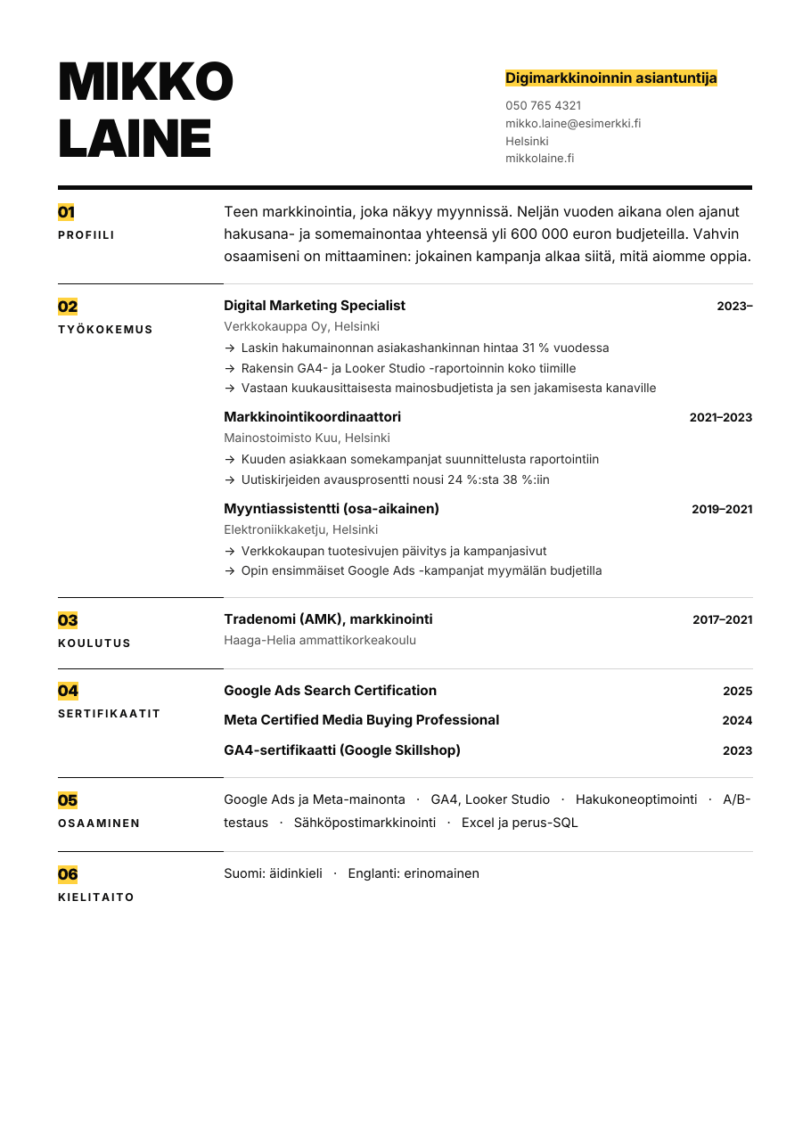 Ruutu-CV-pohja (Moderni CV), esikatselu